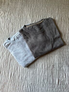 Set of 2 Signature Midweight Tees